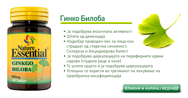 ginko-3