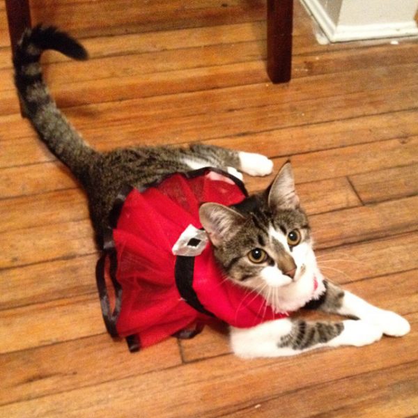 10817912_890360557664011_1512408395_n