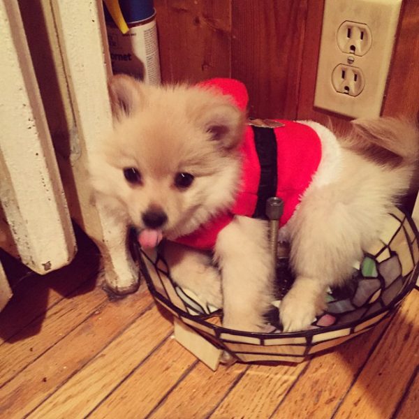 10838433_745717068846630_2020427881_n