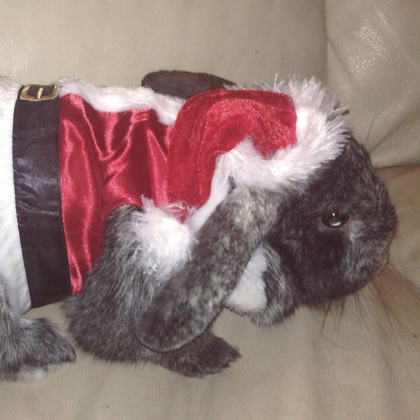 10843750_959450930749273_1082862376_n