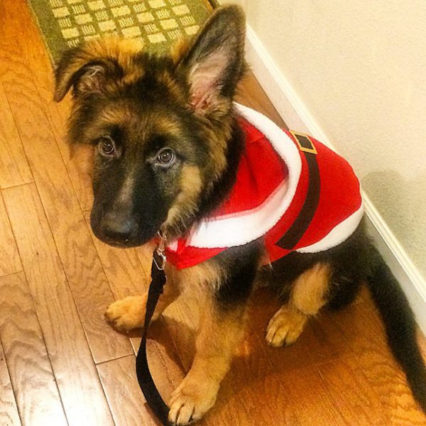 10844093_1502887189972795_576948692_n