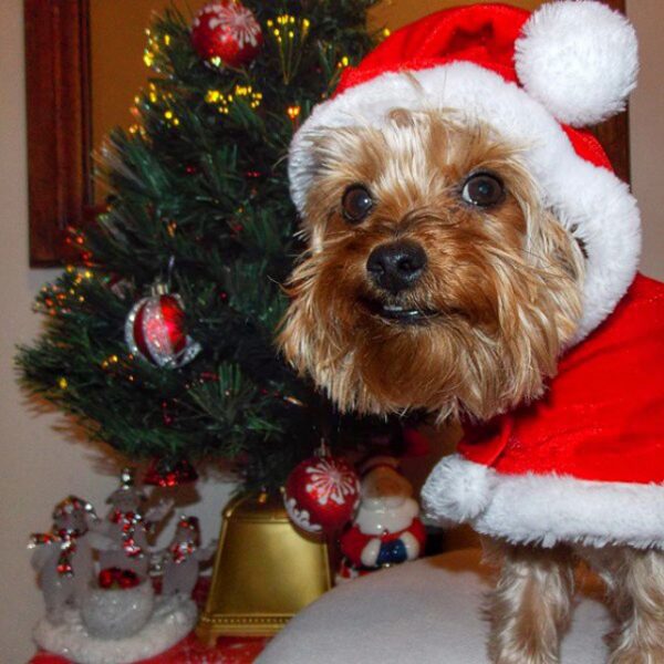 10844100_512701995538643_909057669_n