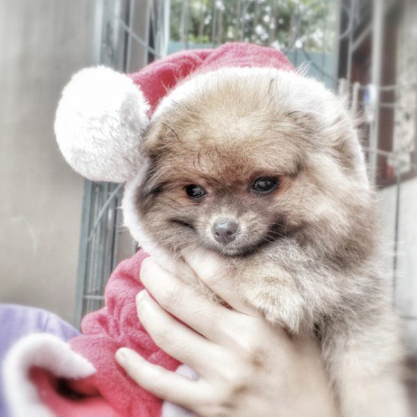 10852940_1516141641979072_350528630_n