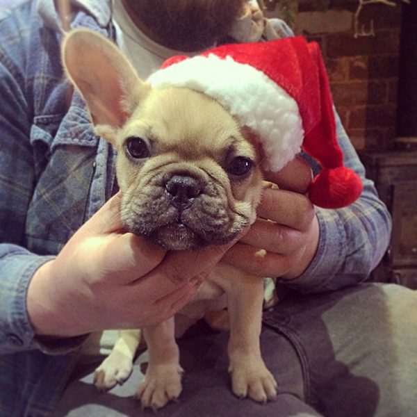 10853043_906135272732494_2111553974_n