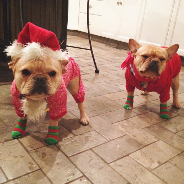 10860139_319323278268259_375589270_n