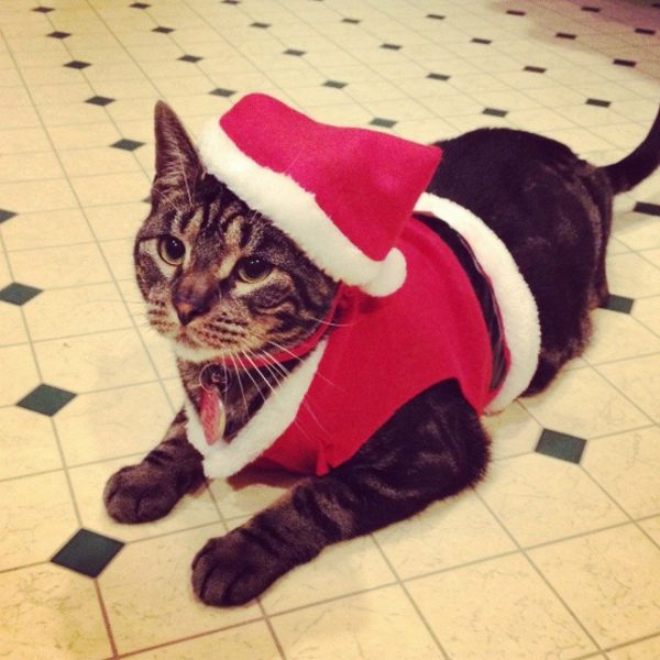 916999_769389006423918_1522476849_n