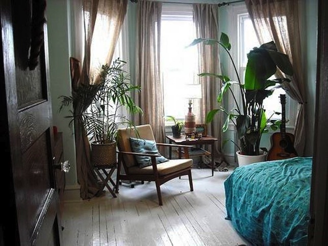 tropical-plants-for-bedrooms