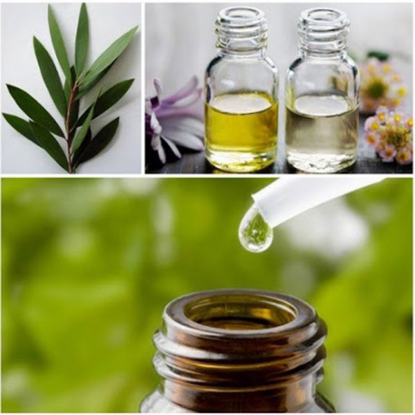 tea-tree-oil-478752_w1000